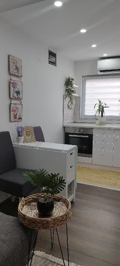 Queen Apartmancic Заечар Экстерьер фото